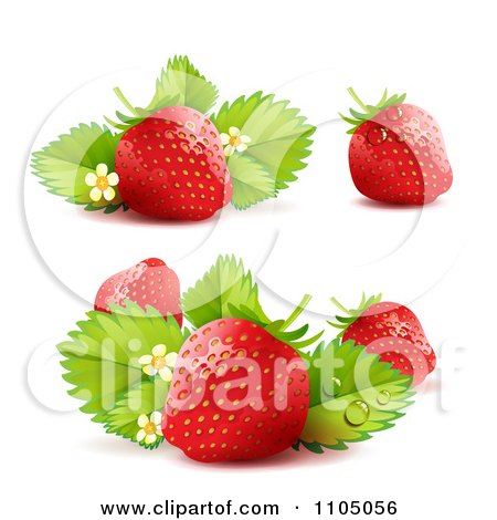 Clipart Three Strawberries With Blossoms And Leaves - Royalty Free Vector Illustration by merlinul