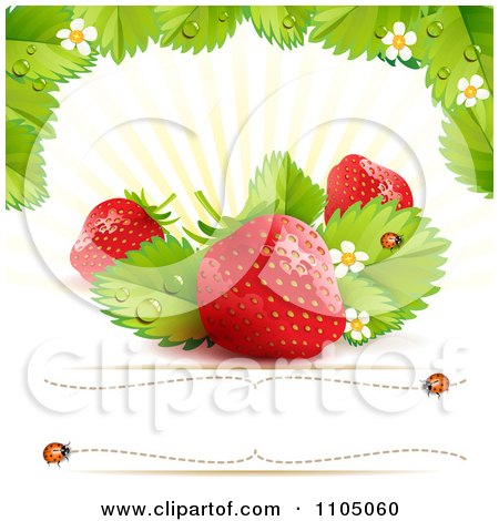 Clipart Strawberry Background With Leaves Blossoms And Copyspace 2 - Royalty Free Vector Illustration by merlinul