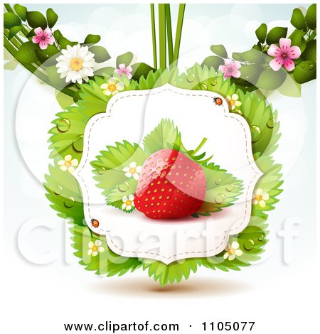 Clipart Strawberry With Dewy Leaves Blossoms And Twine On White - Royalty Free Vector Illustration by merlinul