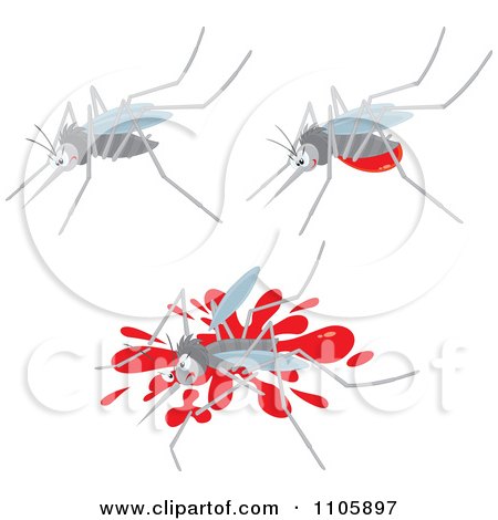 Clipart Three Mosquitos One With A Blood Belly And One Squished - Royalty Free Vector Illustration by Alex Bannykh