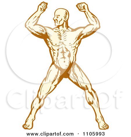 Clipart Muscular Body Builder Man Flexing - Royalty Free Vector Illustration by patrimonio
