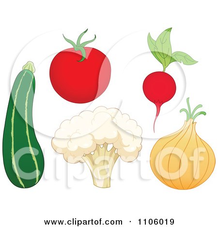 Clipart Whole Foods Zucchini Tomato Cauliflower Radish And Onion Produce Vegetables - Royalty Free Vector Illustration by yayayoyo