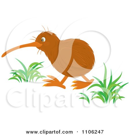 Clipart Walking Kiwi Bird - Royalty Free Vector Illustration by Alex Bannykh