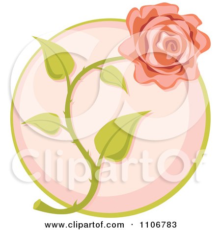 Clipart Pink Rose Over A Circle - Royalty Free Vector Illustration by Amanda Kate