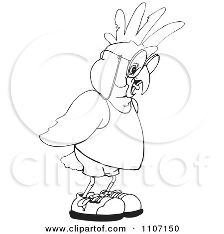 Clipart Black And White Shocked Cockatoo - Royalty Free Vector Illustration by Dennis Holmes Designs