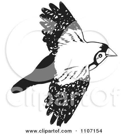 Clipart Black And White Double Bar Finch Bird Flying 2 - Royalty Free Vector Illustration by Dennis Holmes Designs
