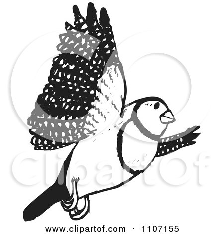 Clipart Black And White Double Bar Finch Bird Flying 3 - Royalty Free Vector Illustration by Dennis Holmes Designs