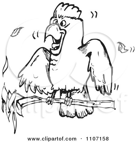 Clipart Excited Black And White Cockatoo On A Branch - Royalty Free Vector Illustration by Dennis Holmes Designs