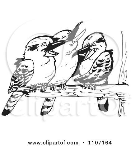 Clipart Three Black And White Kookaburra Birds Laughing On A Branch - Royalty Free Vector Illustration by Dennis Holmes Designs