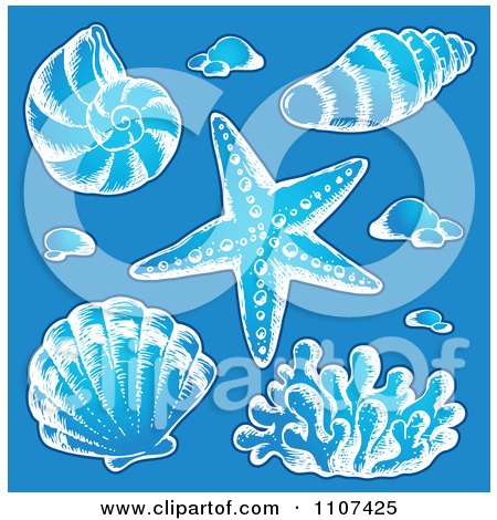 Clipart Sketched Sea Shells On Blue - Royalty Free Vector Illustration by visekart