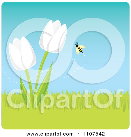 Clipart Bee Buzzing Around White Spring Tulip Flowers - Royalty Free Vector Illustration by Amanda Kate