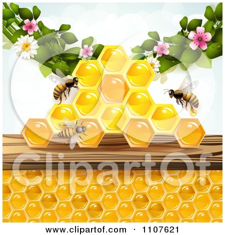 Clipart Bees And Honeycombs With Flowers 1 - Royalty Free Vector Illustration by merlinul