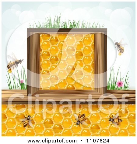 Clipart Bees And Honeycombs In A Wood Box With Grass And Sky 1 - Royalty Free Vector Illustration by merlinul