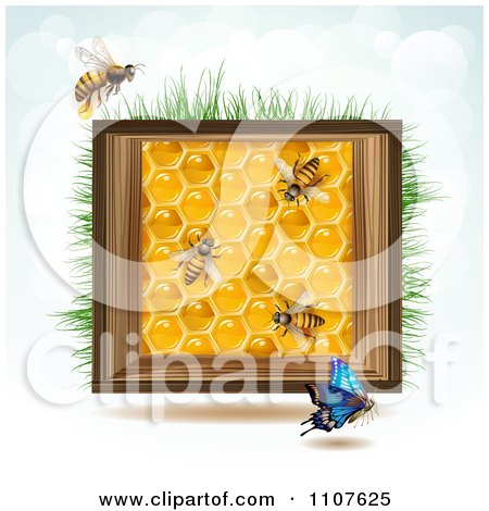 Clipart Bees And Honeycombs In A Wood Box With Grass And Sky 2 - Royalty Free Vector Illustration by merlinul
