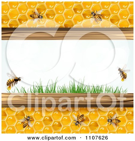 Clipart Bees And Honeycombs With Flowers 5 - Royalty Free Vector Illustration by merlinul
