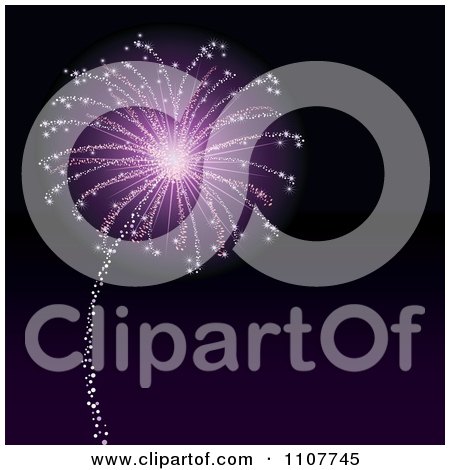 Clipart Purple Firework Bursting In A Night Sky - Royalty Free Vector Illustration by Amanda Kate