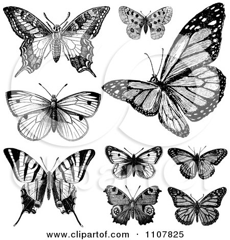 Clipart Retro Black And White Vintage Butterflies 1 - Royalty Free Vector Illustration by BestVector