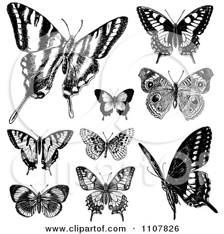 Clipart Retro Black And White Vintage Butterflies 2 - Royalty Free Vector Illustration by BestVector