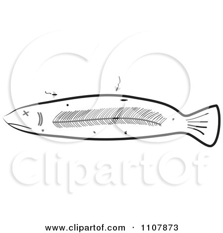 Clipart Black And White Deteriorating And And Decaying Sick Fish - Royalty Free Vector Illustration by Maria Bell