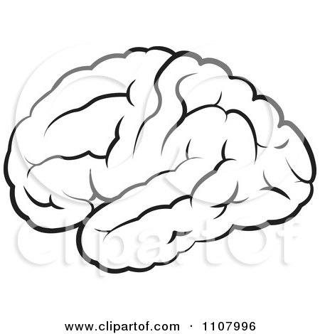 Clipart Black And White Outlined Human Brain - Royalty Free Vector Illustration by Lal Perera