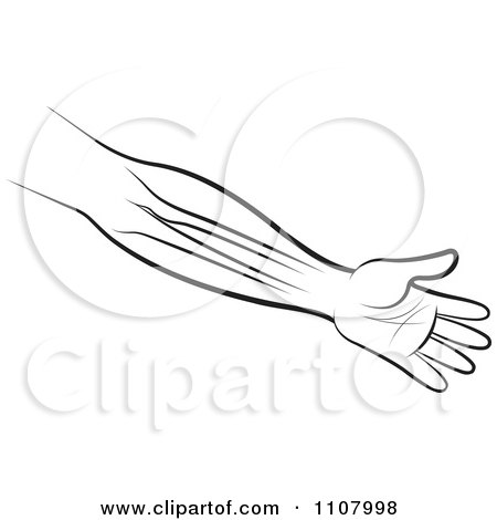 Clipart An Outlined Human Arm And Hand Showing The Bones - Royalty Free Vector Illustration by Lal Perera