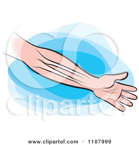 Clipart Human Arm And Hand Showing The Bones Over Blue - Royalty Free Vector Illustration by Lal Perera