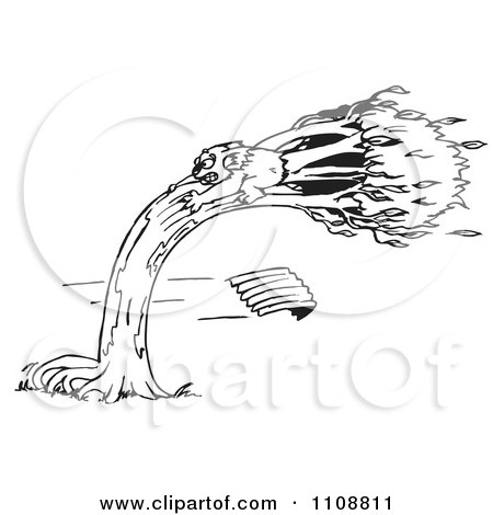 Clipart Black And White Outlined Koala Holding Onto A Tree In A Wind Storm - Royalty Free Vector Illustration by Dennis Holmes Designs