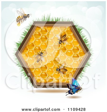 Clipart Bees A Butterfly And Honey Combs In A Hexagon With Grass - Royalty Free Vector Illustration by merlinul