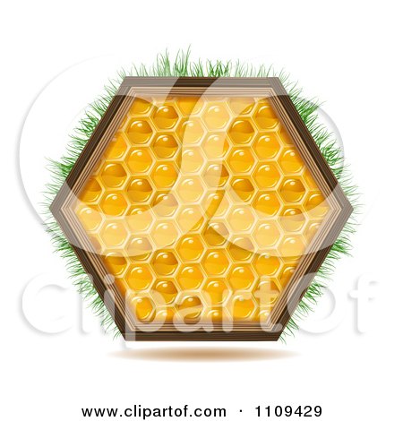 Clipart Honey Comb Hexagon With Grass - Royalty Free Vector Illustration by merlinul