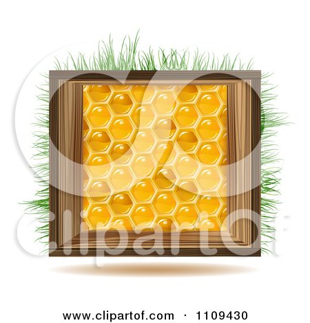 Clipart Honeycomb Square With A Wood Frame And Grass - Royalty Free Vector Illustration by merlinul