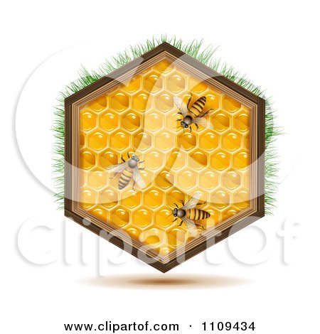 Clipart Bees On A Honey Comb Hexagon With Grass - Royalty Free Vector Illustration by merlinul
