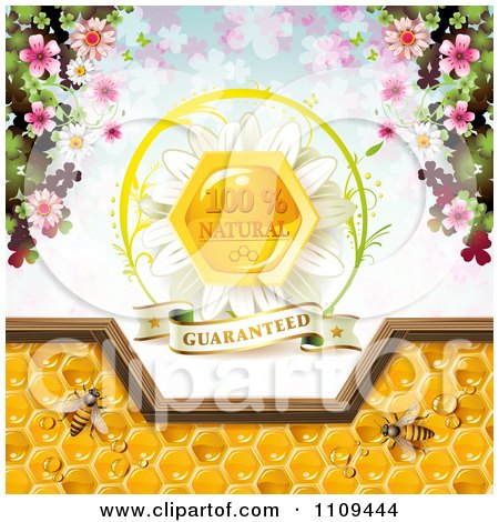 Clipart Bees And Honeycombs With A Natural Label Over Clovers 3 - Royalty Free Vector Illustration by merlinul