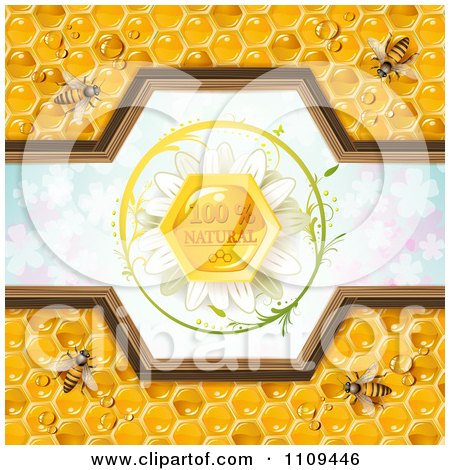 Clipart Bees And Honeycombs With A Natural Label Over Clovers 5 - Royalty Free Vector Illustration by merlinul