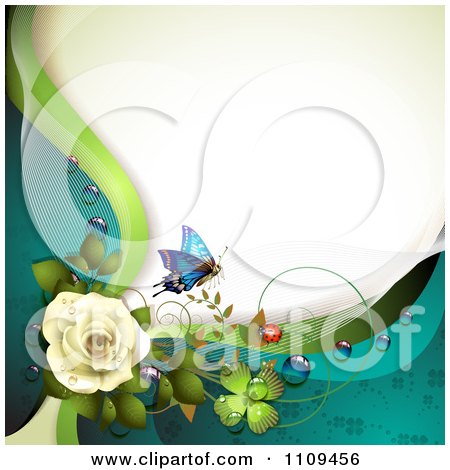 Clipart White Rose With Dew Clovers A Butterfly And Copyspace - Royalty Free Vector Illustration by merlinul