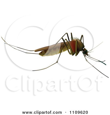 Clipart Big Mosquito In Profile - Royalty Free Vector Illustration by dero