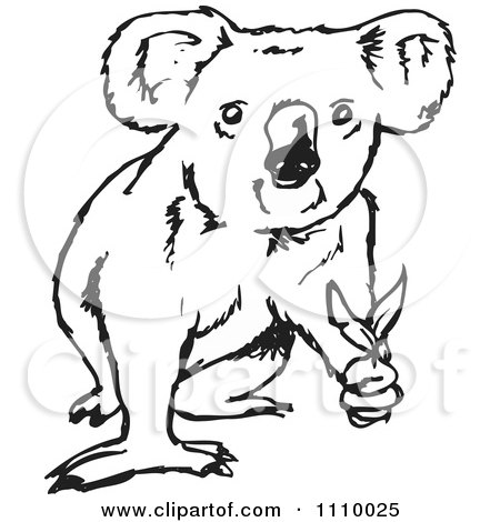 Clipart Black And White Koala Holding Leaves - Royalty Free Vector Illustration by Dennis Holmes Designs