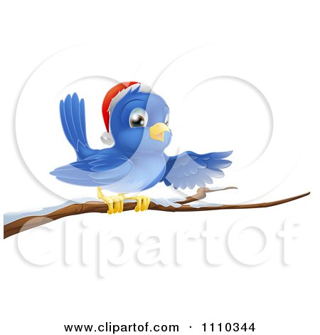Clipart Presenting Christmas Bluebird Wearing A Santa Hat And Perched On A Branch With Snow - Royalty Free Vector Illustration by AtStockIllustration