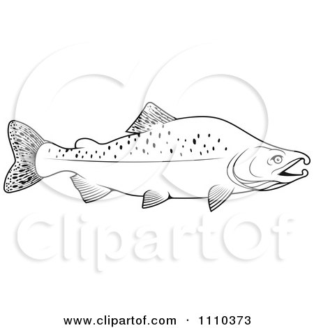 Clipart Black And White Humpback Salmon Fish - Royalty Free Vector Illustration by Vector Tradition SM