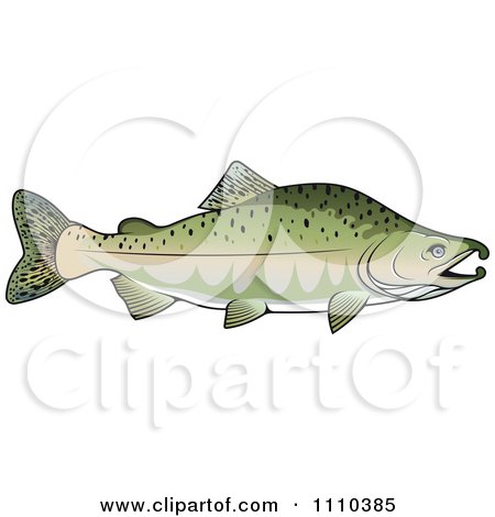 Clipart Pink Salmon Fish - Royalty Free Vector Illustration by Vector Tradition SM