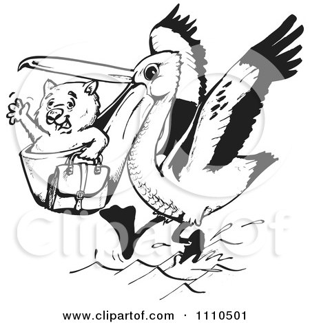 Clipart Black And White Aussie Wombat Traveling In A Pelicans Mouth - Royalty Free Vector Illustration by Dennis Holmes Designs