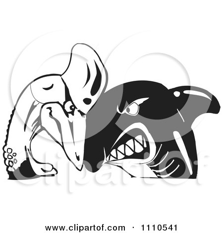 Clipart Black And White Shark And Cassowary Butting Heads - Royalty Free Vector Illustration by Dennis Holmes Designs