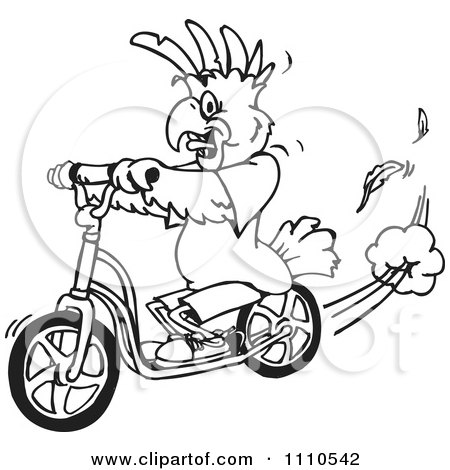 Clipart Black And White Cockatoo On A Scooter - Royalty Free Vector Illustration by Dennis Holmes Designs