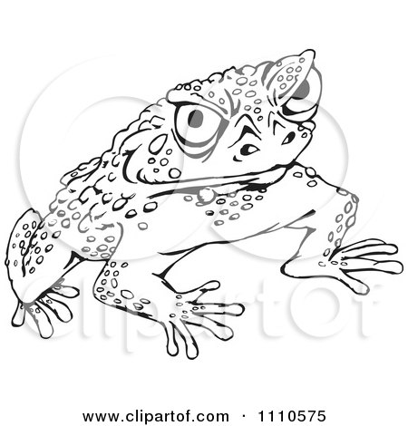 Clipart Black And White Cane Toad - Royalty Free Vector Illustration by Dennis Holmes Designs