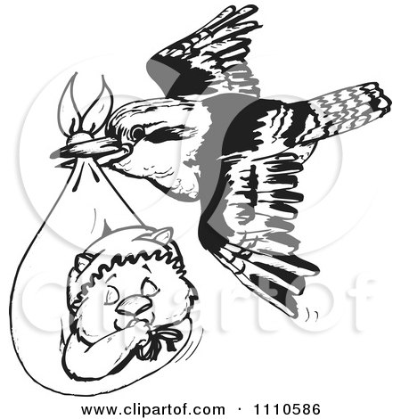 Clipart Black And White Aussie Kookaburra Bird Delivering A Baby Wombat - Royalty Free Vector Illustration by Dennis Holmes Designs