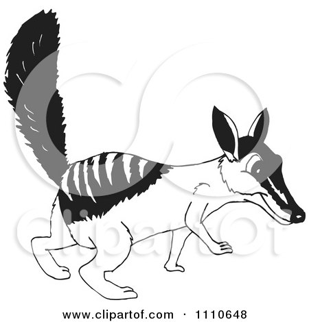 Clipart Black And White Aussie Numbat Walking - Royalty Free Vector Illustration by Dennis Holmes Designs