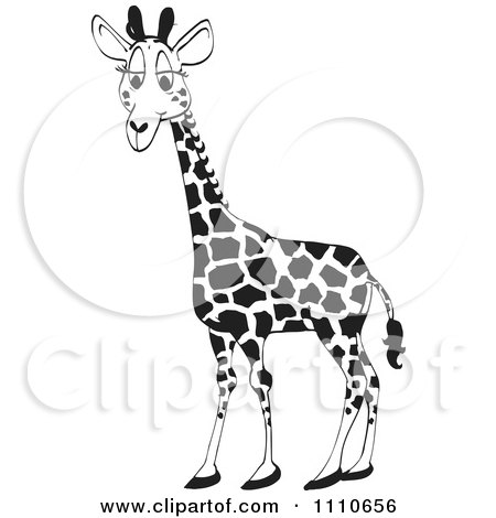 Clipart Black And White Giraffe - Royalty Free Illustration by Dennis Holmes Designs