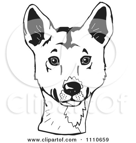 Clipart Black And White Aussie Dingo Head - Royalty Free Illustration by Dennis Holmes Designs