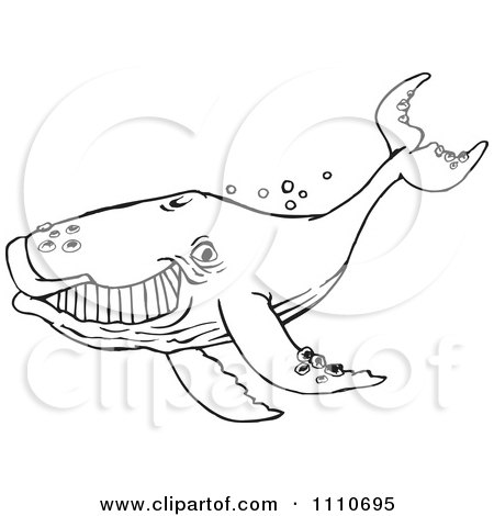 Clipart Black And White Whale - Royalty Free Illustration by Dennis Holmes Designs