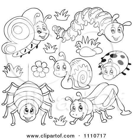 Clipart Outlined Butterfly Caterpillar Spider Snail Ladybug And Grasshopper - Royalty Free Vector Illustration by visekart