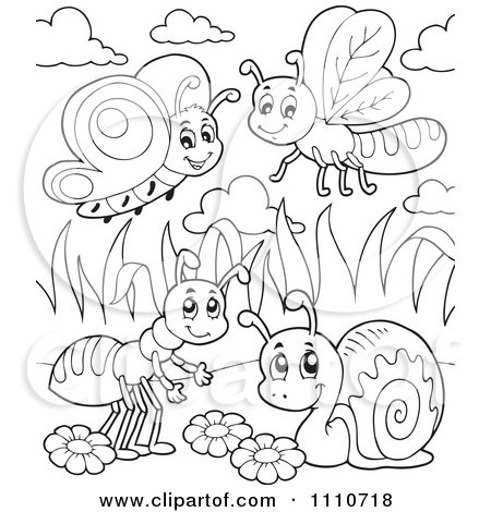 Clipart Outlined Butterfly Dragonfly Ant And Snail - Royalty Free Vector Illustration by visekart